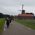 Christel bijna rust t Luiwerk bij Lindesche Molenjpg